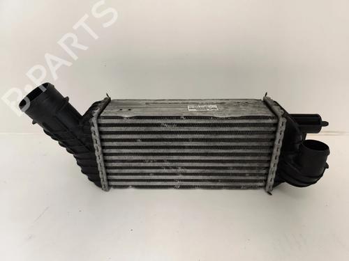 Intercooler Intercooler CITROËN C4 Picasso I MPV (UD_) [2006-2015] 33718978 33718978