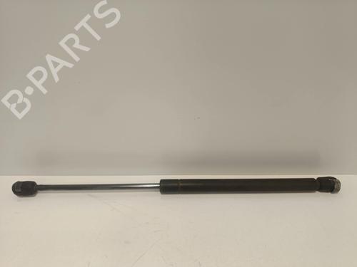 tailgate-lift-support-renault-clio-ii-hatchback-van-sb012_-1998-34165734 main image