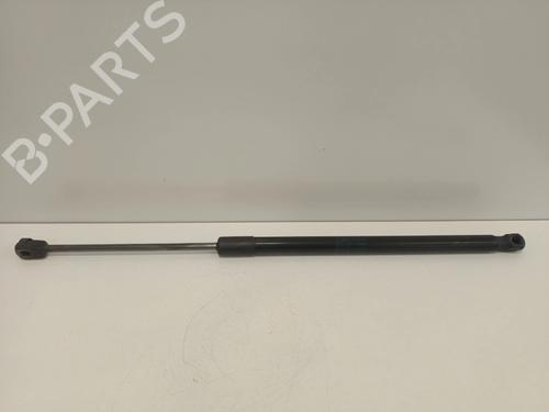 tailgate-lift-support-renault-grand-scenic-ii-jm01_-2004-2005-2006-2007-2008-2009-34406192 main image