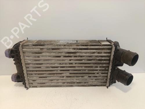 Used Intercooler Intercooler PEUGEOT 208 II (UB_, UP_, UW_, UJ_) 1.5 BlueHDI 100 (102 hp) 35738843 35738843