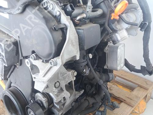 Engine SEAT IBIZA IV (6J5, 6P1) 1.6 TDI | BP36501518M1  - Image 11