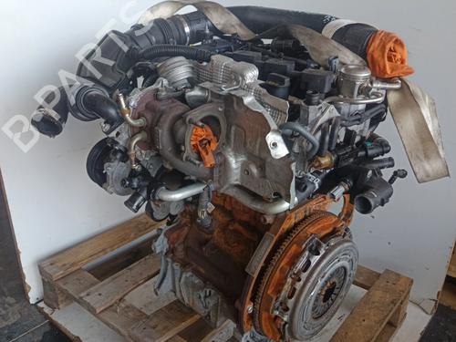 Used Engine Engine FORD FIESTA VI (CB1, CCN) 1.0 EcoBoost (100 hp) 36537999 36537999