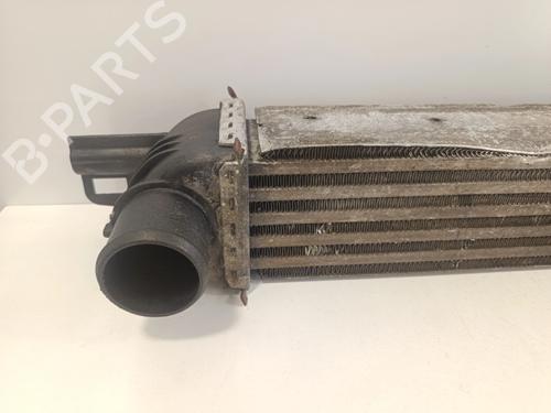 Intercooler CITROËN NEMO Box Body/MPV (AA_) 1.3 HDi 75 | BP36646120M30 - Image 2