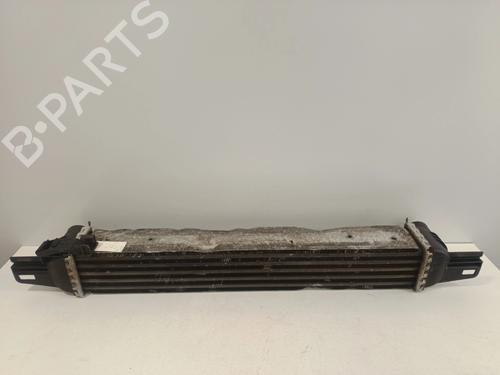Intercooler CITROËN NEMO Box Body/MPV (AA_) 1.3 HDi 75 | BP36646120M30 - Image 5