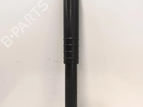 Used Left rear shock absorber Left rear shock absorber 38733343 38733343