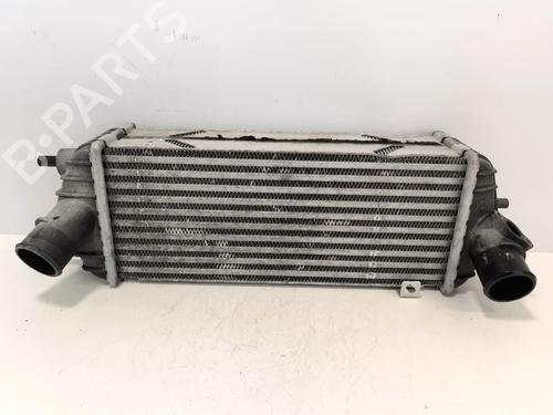 Intercooler Intercooler 39049079 39049079