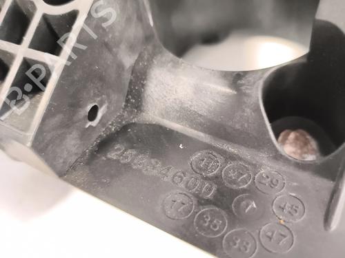 Pedal FIAT 500 (312_) 1.2 (312AXA1A) | BP40078110I4 - Image 6