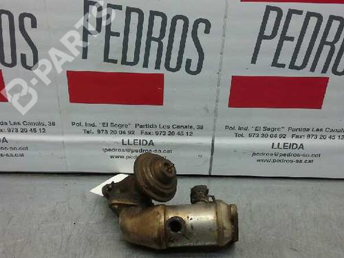 Egr LAND ROVER FREELANDER I (L314)  BP1231258M69