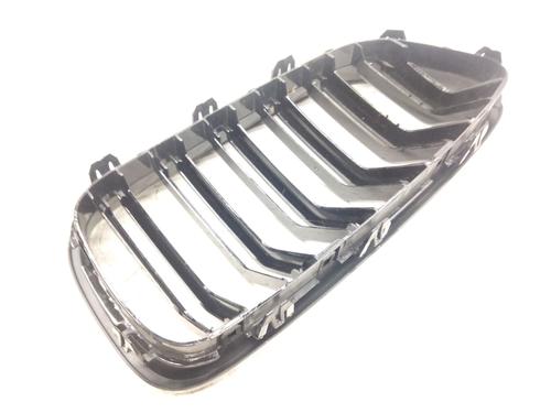 Grille BMW 5 (F10) 520 d xDrive | BP20215287C40 