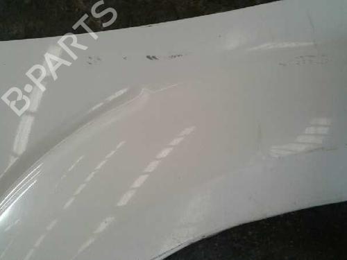 Left front fenders NISSAN PATHFINDER III (R51) 2.5 dCi | BP4081922C41 
