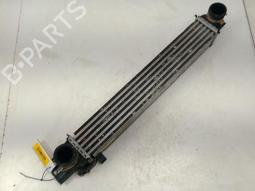 Used Intercooler Intercooler FIAT QUBO (225_) 1.3 D Multijet (225CXB1A, 225AXB1A, 225CXB11, 225AXB11,... (75 hp) 34645961 34645961