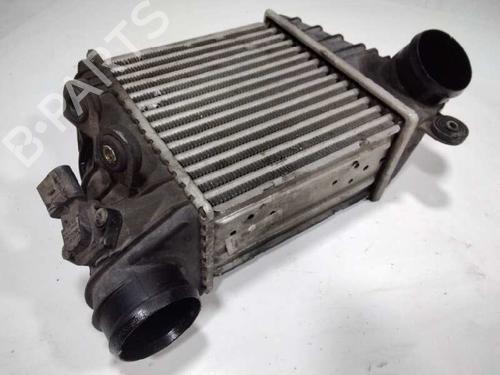 Used Intercooler VW GOLF IV (1J1) [1997-2008]  10655902