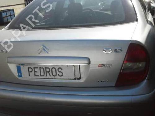 - Image 7