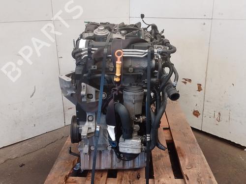 Used Engine Engine SEAT IBIZA III (6L1) 1.4 TDI (80 hp) 36013437 36013437