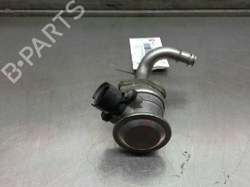 Egr BMW Z3 Roadster (E36)  | BP1164212M69 