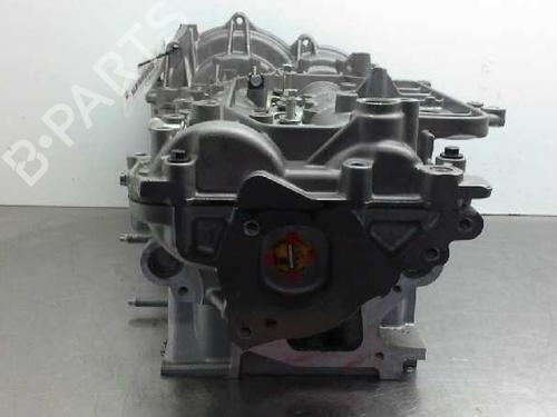 Cylinder head NISSAN PATHFINDER III (R51)  | BP16430859M5 