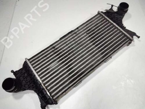 Intercooler radiateur MERCEDES-BENZ M-CLASS (W166) ML 350 BlueTEC 4-matic (166.024, 166.023) (258 hp) 13019901