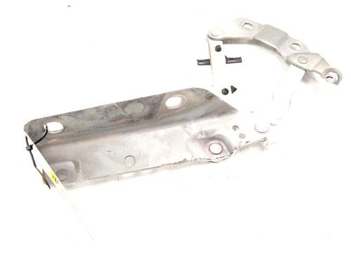 Used Hinge/Door check strap LAND ROVER RANGE ROVER EVOQUE (L538) 2.0 D (150 hp) 24598589