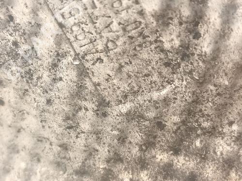 Motorophæng AUDI A4 B8 (8K2) 2.7 TDI | BP29967844M89