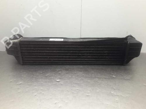 Intercooler BMW X3 (E83) 2.0 d | BP10651319M30 