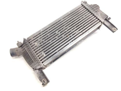 Intercooler NISSAN PATHFINDER III (R51) 2.5 dCi 4WD | BP22982380M30 
