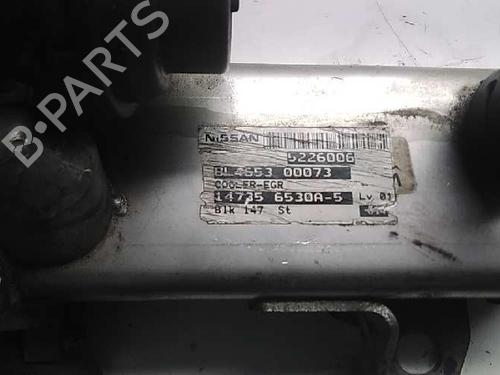 Egr NISSAN PATHFINDER III (R51) 2.5 dCi | BP14322822M69