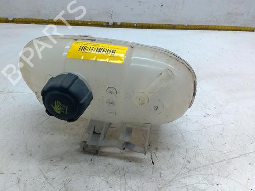 Used Expansion tank OPEL VIVARO B Bus (X82) 1.6 CDTI (06) (90 hp) 30179121