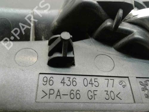 Front left interior door handle PEUGEOT 307 (3A/C)  | BP9653132I13 