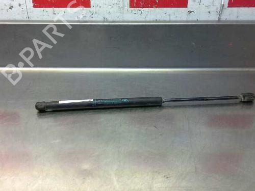 Used Tailgate lift support CITROËN C3 I (FC_, FN_) 1.4 HDi (68 hp) 14321856