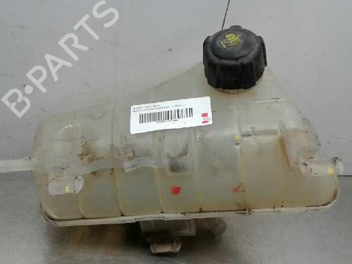 Used Expansion tank RENAULT KANGOO (KC0/1_) [1997-2025]  7000843