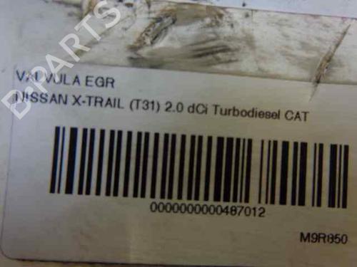 Egr NISSAN X-TRAIL II (T31) | BP2132813M69