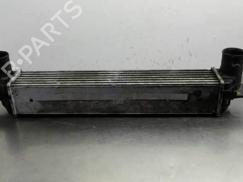 Used Intercooler Intercooler 2513216 2513216