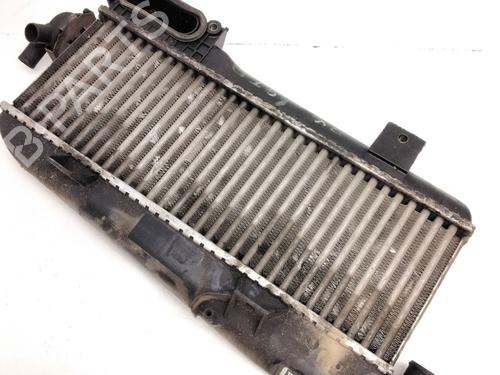 Used Intercooler CITROËN ZX (N2) 1.9 TD (90 hp) 1748444