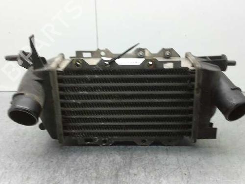 Used Intercooler OPEL VECTRA B (J96) 2.0 DTI 16V (F19) (101 hp) 208463