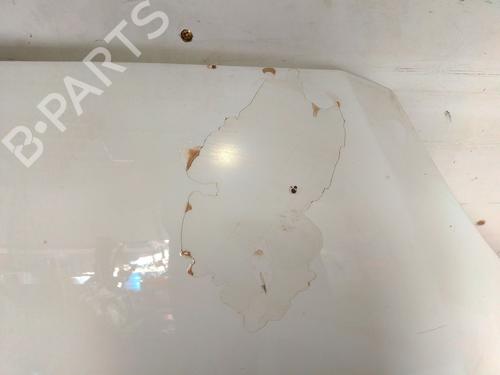 Hood FORD FOCUS II (DA_, HCP, DP) 1.8 TDCi | BP29446291C1 