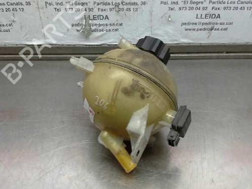 Expansion tank PEUGEOT 206 CC (2D)  | BP1620368C120 