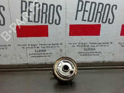 Used Oil radiator NISSAN PRIMERA Hatchback (P11) 2.0 TD (90 hp) 14310860