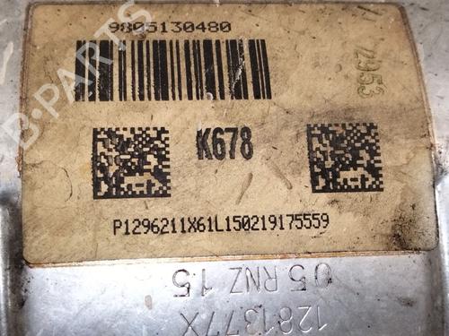 Catalyst PEUGEOT 2008 I (CU_) 1.6 BlueHDi 120 | BP30169508M10