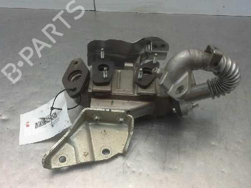 Egr NISSAN JUKE (F15)  | BP14315418M69 
