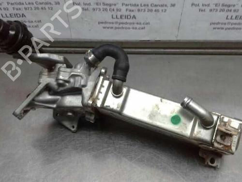 Egr MERCEDES-BENZ A-CLASS (W176)  | BP16090151M69 
