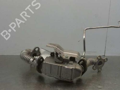 Egr NISSAN JUKE (F15)  | BP14315312M69 