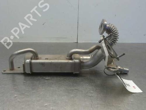 Used Egr NISSAN QASHQAI / QASHQAI +2 I (J10, NJ10, JJ10E) [2006-2014]  14315303