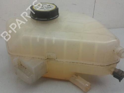 Expansion tank FORD FIESTA VI (CB1, CCN)  | BP7000813C120 