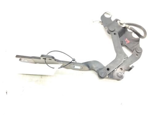 Hinge/Door check strap BMW 3 (E90) 320 d | BP20235546C146 