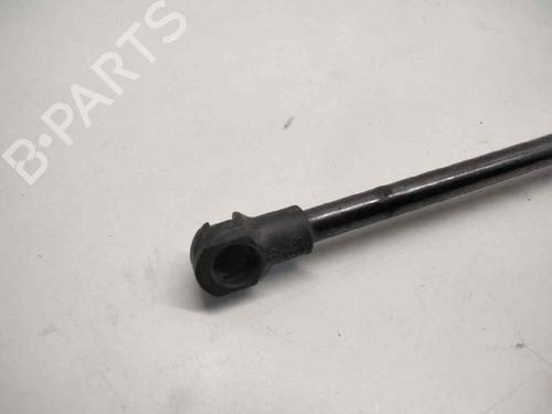 Tailgate lift support SEAT AROSA (6H1)  | BP14321855C138 