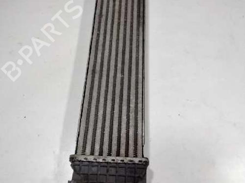 Intercooler FORD FOCUS II (DA_, HCP, DP) [2004-2013]  10651345
