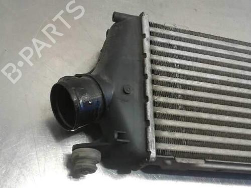 Intercooler NISSAN PRIMASTAR Van (X83) | BP10655847M30 - Image 5