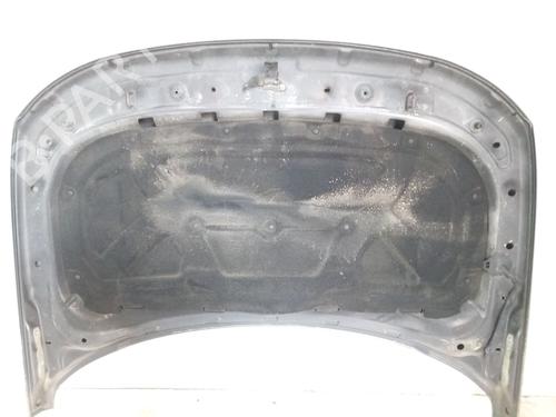 Hood LAND ROVER DISCOVERY III (L319) 2.7 TD 4x4 | BP21801660C1 
