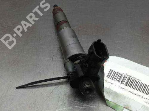 Injector NISSAN PATHFINDER III (R51) 3.0 dCi | BP2964209M100 
