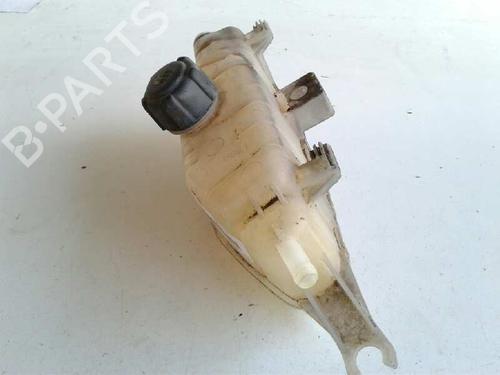 Expansion tank RENAULT CLIO III (BR0/1, CR0/1)  | BP7549841C120 